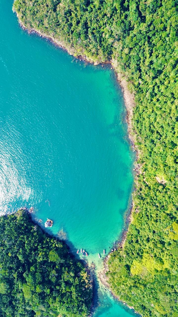 Vertical aerial view of the cove surrounded by Atlantic Forest